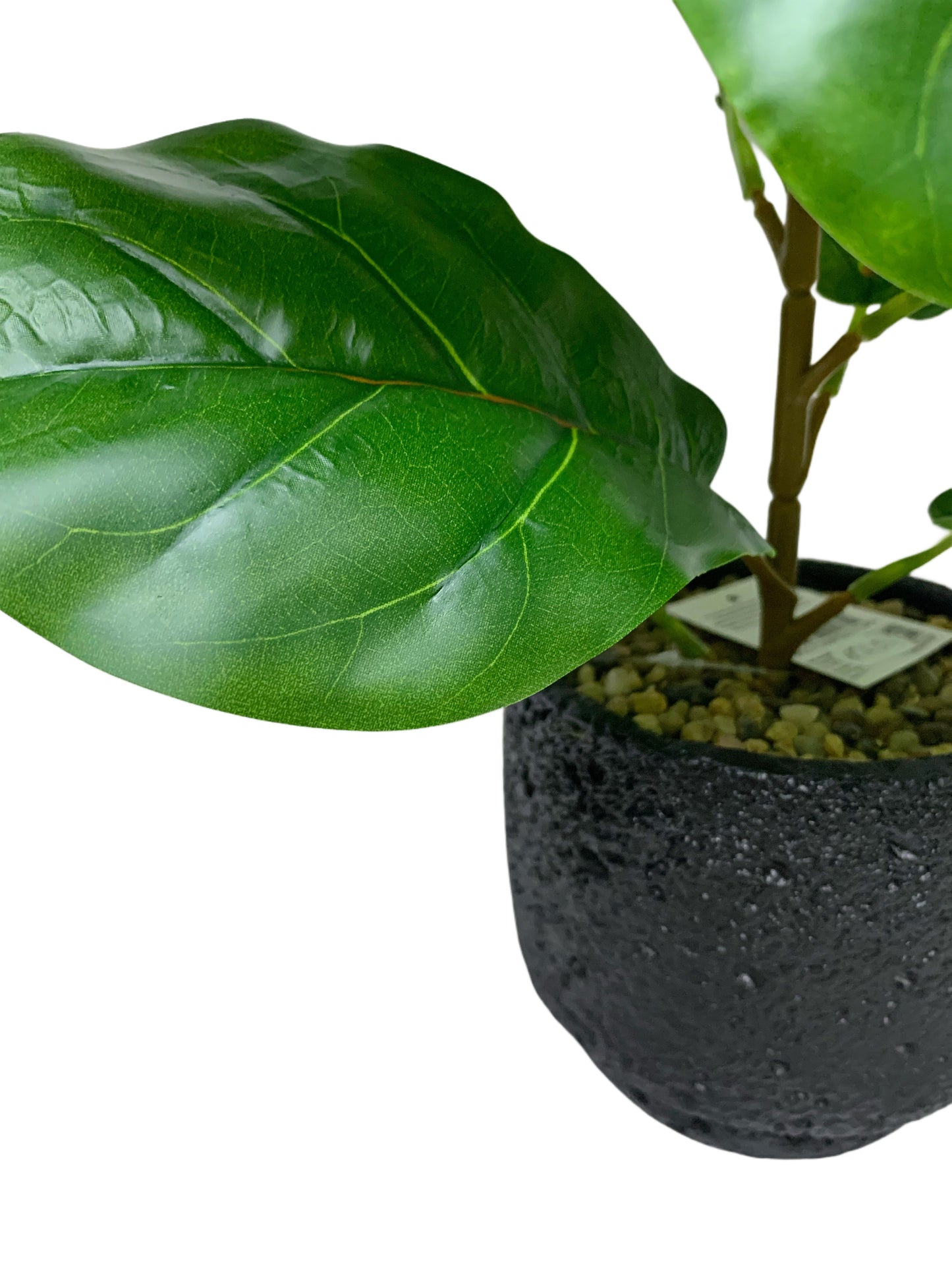 Ficus Artificiale 30 cm con Vaso in Cemento – Pianta Decorativa Realistica da Interno