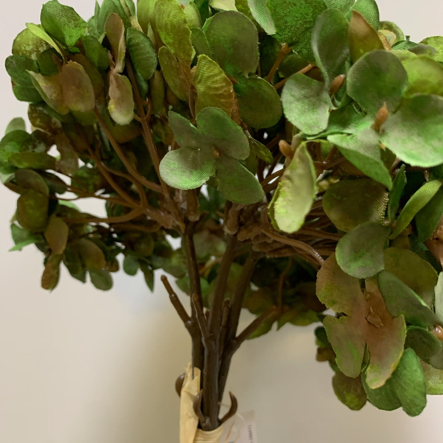 Composizione di 3 ortensie verdi