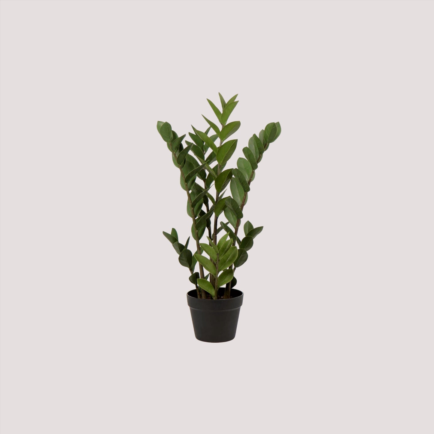 Zamioculcas Artificiale 95 cm – Pianta Padre Pio Realistica