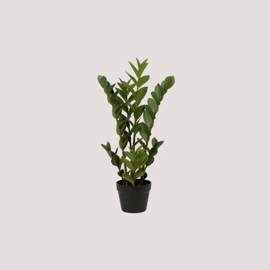 Zamioculcas Artificiale 95 cm – Pianta Padre Pio Realistica