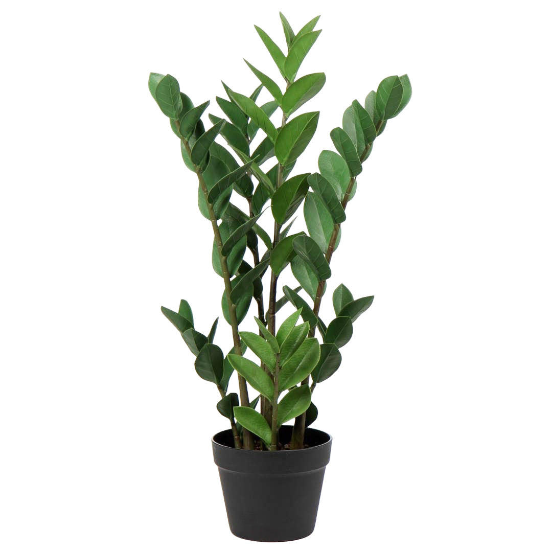 Zamioculcas Artificiale 95 cm – Pianta Padre Pio Realistica