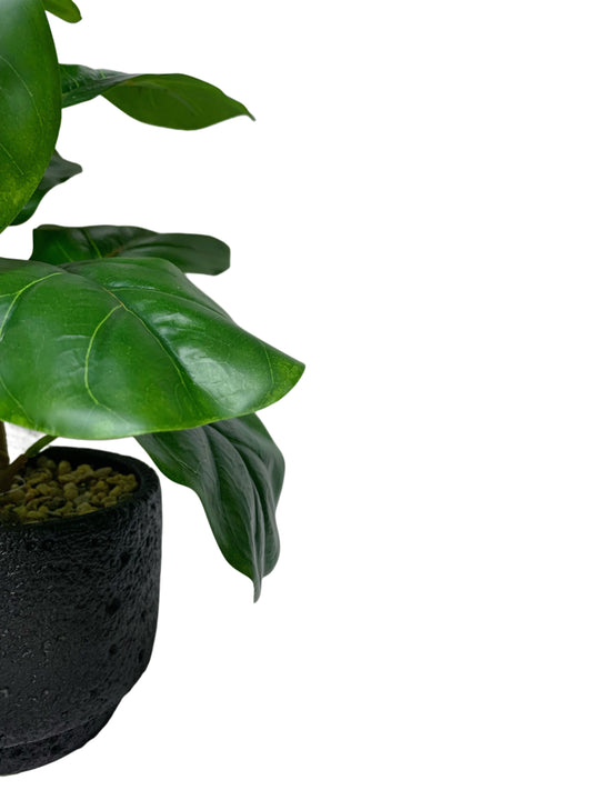 Ficus Artificiale 30 cm con Vaso in Cemento – Pianta Decorativa Realistica da Interno