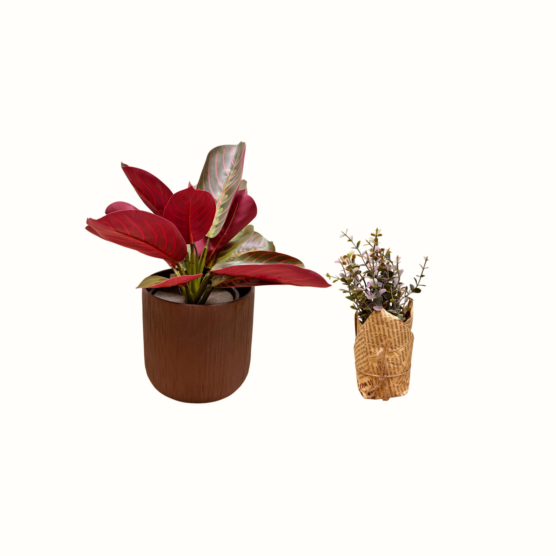 composizione-piante-artificiali-arredo-casa-moderno-philodendron-e-eucalipto-in-carta