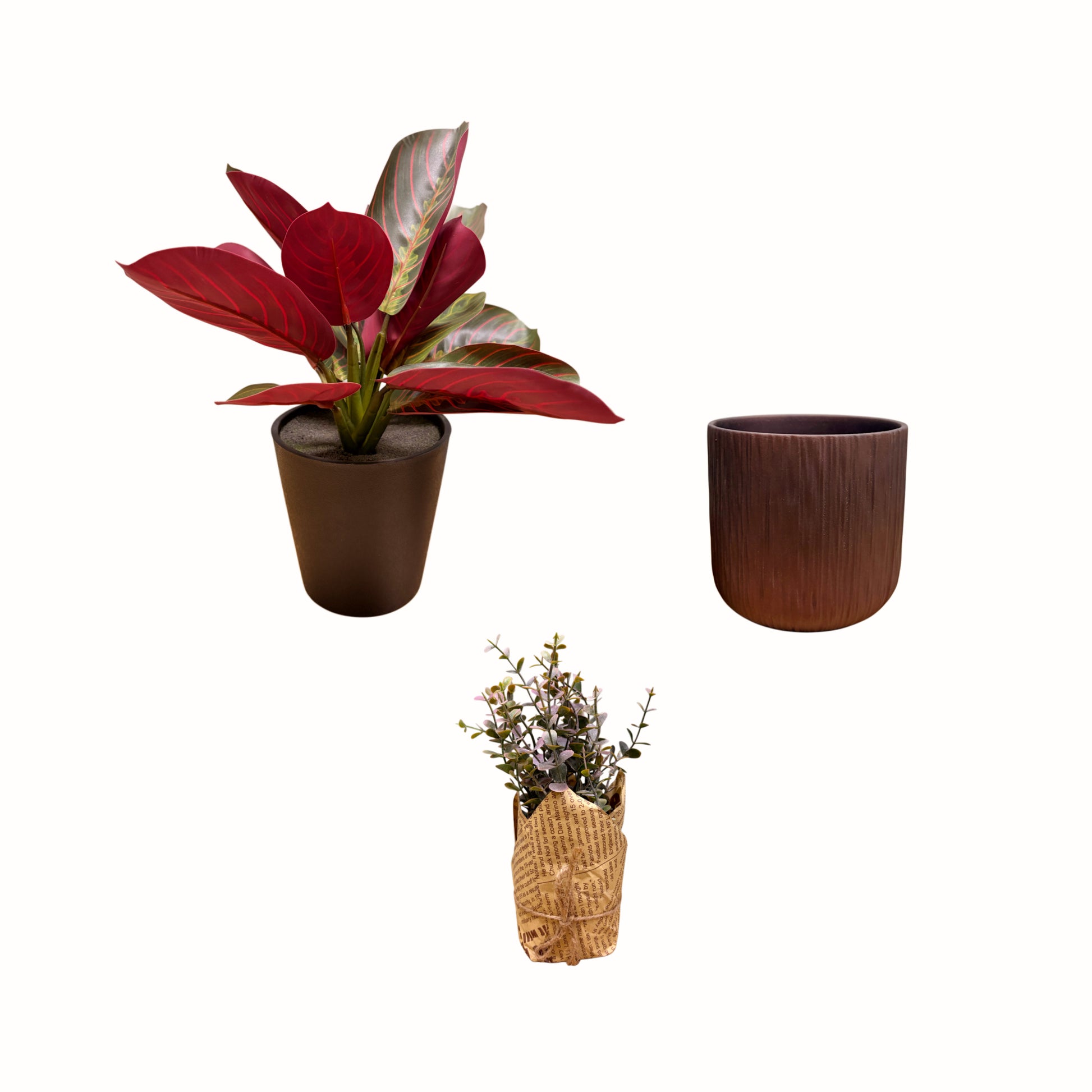 set-completo-arredo-philodendron-rosso-vaso-ceramica-marrone-eucalipto-artificiale