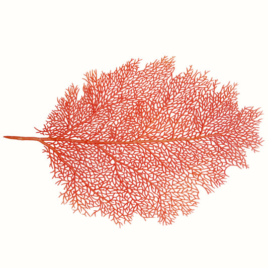 Sottopiatto traforato a forma di corallo marino rosso per mise en place estiva e chic
